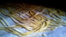 Macarrão (massa caseira)