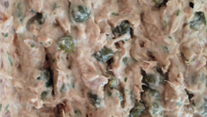 Patê de atum light Bavaresco