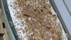 Pavê de chocolate com nozes