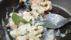 Mexido de ovos com requeijão