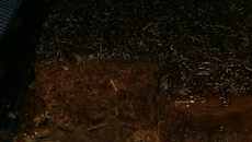 Bolo aerado de chocolate