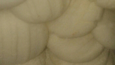 Biscoitinhos caseiros