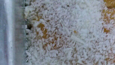 Pão doce de massa mole