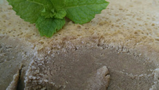 Sorvete fácil de café com leite