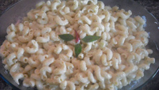 Macarrão ao molho branco sem creme de leite