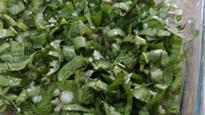 Salada de almeirão italiana