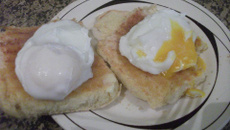 Ovos poched eggs