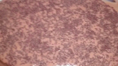 Bolo branco com cobertura de chocolate