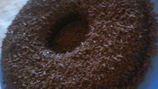 Brigadeirão de microondas facílimo