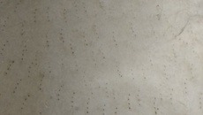 Massa de pizza sem ovo