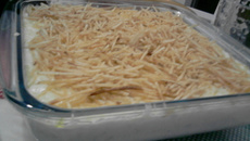 Fricassê de frango divino