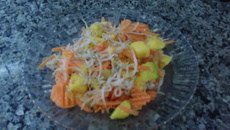 Salada com moyashi (broto de feijão)