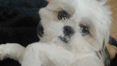 Bolo de Ovomaltine super fácil