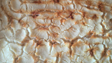 Torta de arroz da Lissa