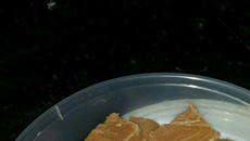 Doce de leite de cortar