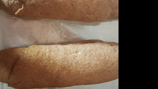 Pão de farelo de trigo