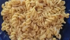 Macarrão com creme de leite