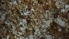 Espaguete de abobrinha !