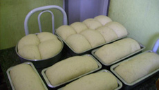 Receita de pão da Néia