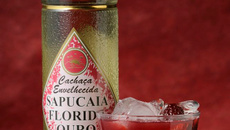 Sapucaia Paixão - Mestre Derivan