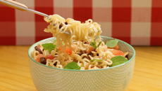 Macarrão instantâneo à primavera