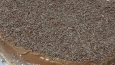 Bolo de Prestígio Super Fácil