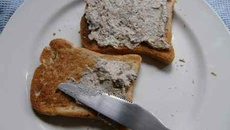 Patê de Atum Especial