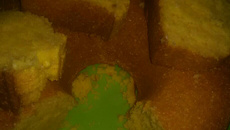 Bolo de milho (cuscuz)