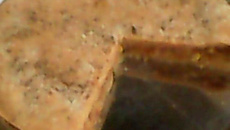 Torta de atum no liquidificador