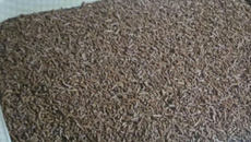 Bolo de chocolate prático