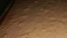 Bolo de fubá mineiro (broa)