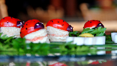 Jardim das Joaninhas