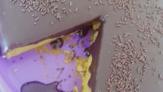 Bolo de cenoura com cobertura de chocolate