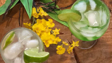 Gin de maçã verde ou limão (xarope)