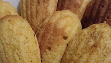 Madeleines