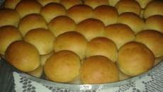 Bisnaguinha tipo Seven Boys