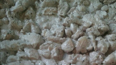 Filé de frango ao molho especial