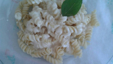 Macarrão ao molho branco