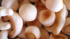 Biscoito de polvilho caseiro