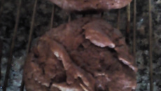 Cookies de cacau gourmet