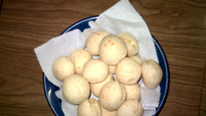 Pão de queijo básico
