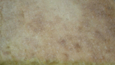 Bolo de espiga de milho verde