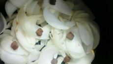 Costela com cebola na pressão