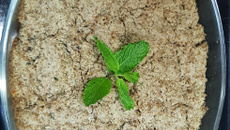 Quibe de forno recheado