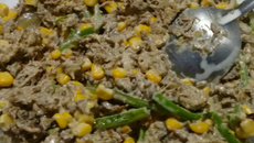 Fricassê  de Carne de Sol