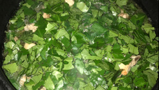 Costelinha com ora-pro-nóbis