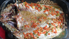 Tainha espalmada no forno