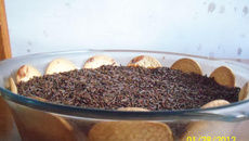 Torta de bolacha de chocolate