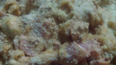 Macarrão na Panela de Pressão