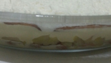 Gelado de abacaxi